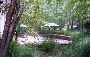 Pentax iqZoom 150SL sample image 27