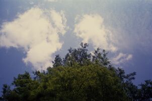 Pentax iqZoom 150SL sample image 23