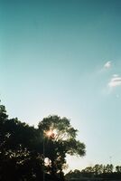 Pentax zoom90-WR sample image 19