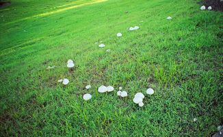 Pentax zoom90-WR sample image 13