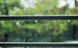 Pentax zoom90-WR sample image 23