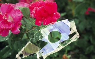 Pentax zoom90-WR sample image 26