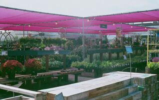 Yashica Electro 35 GSN sample image 48