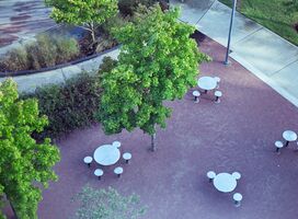 Yashica Electro 35 GSN sample image 11